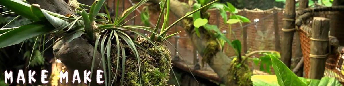 Bridge, tree and railing build with MakeMake Concrete Clay in a natural design in Universeum, Gothenburg.