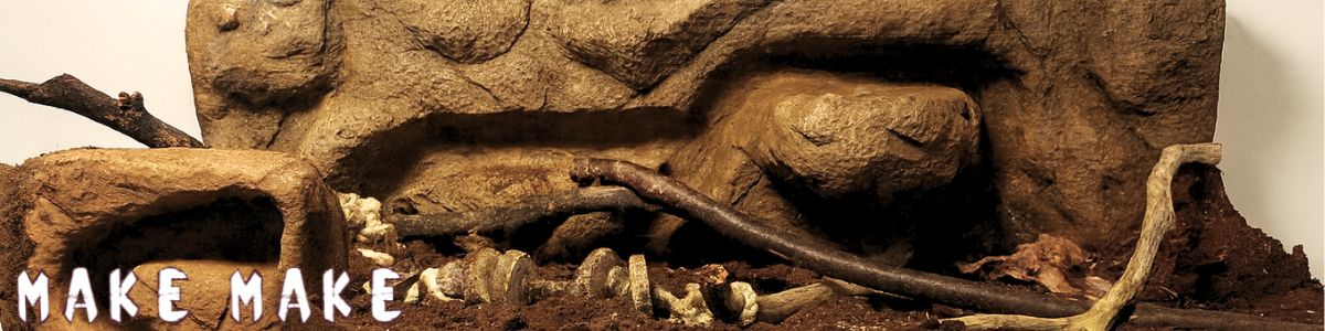 Terrarium for small rodent with scaping made from MakeMake ConcreteClay.