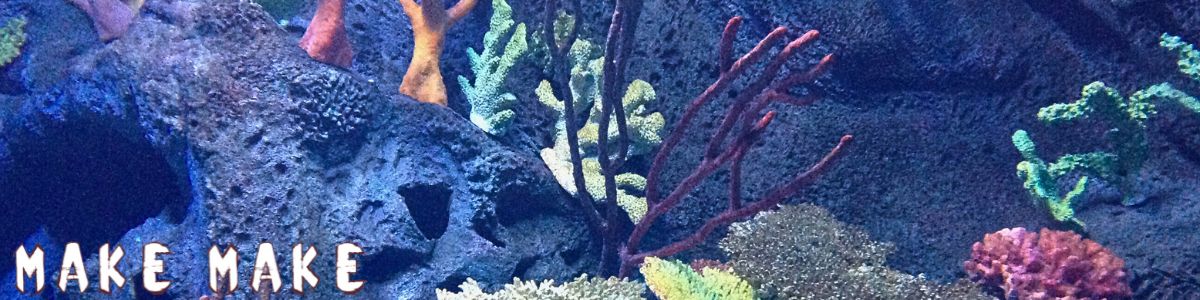 Coral reef build with MakeMake Concrete Clay - safe for aquatic life.