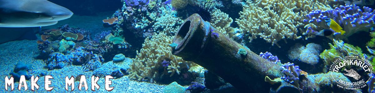 Aquarium with elements made in MakeMake Concrete Clay by Tropikariet, Helsingborg.