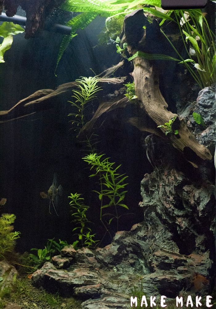 Background in aquarium made with MakeMake concrete.