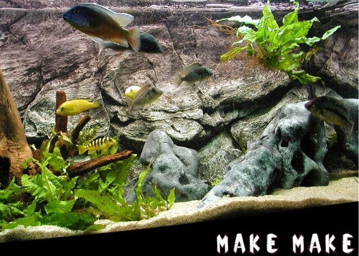 Aquarium with a background made with MakeMake concrete.