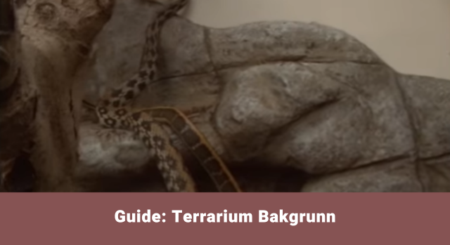 Terrariebakgrunn – Guide