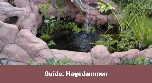 Guide til hagebasseng.
