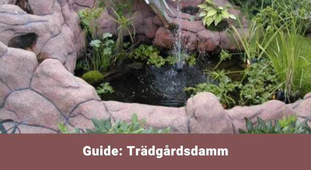 Guide til trädgårdsdamm