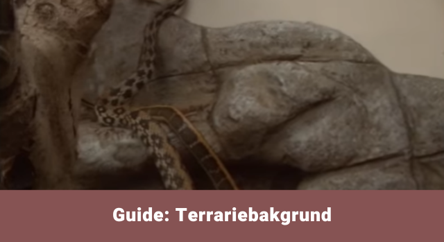 Terrariebakgrund - Guide