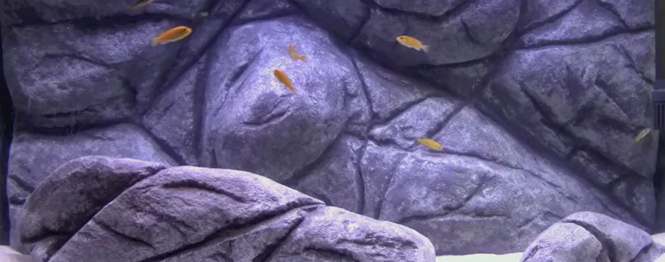 Aquarium background sculpted with ConcreteClay
