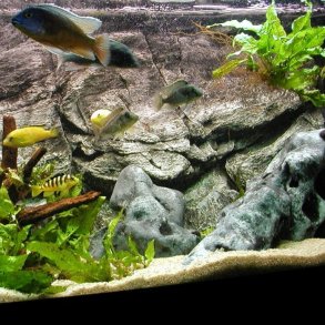 Aquarium background made with MakeMake Concrete Clay
