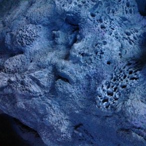 Coral reef made with ConcreteC�ay from MakeMake.