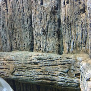 Aquarium made to look like at pier at the Danish Fjord and B�lt. 