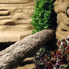 Terrarium, Aquarium and vivarium scaping with MakeMake Concrete Clay.