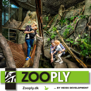 Zooply