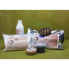 3D Abdruckset Bronzehand 