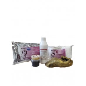 3D Abdruckset Goldhand