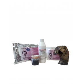 Bronshanden 3D avgjutningsset